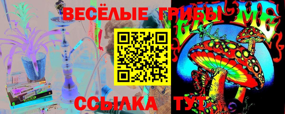 Новоуральск  даркнет сайт  Вход с VPN  Псилоцибиновые грибы GOLDEN TEACHER 