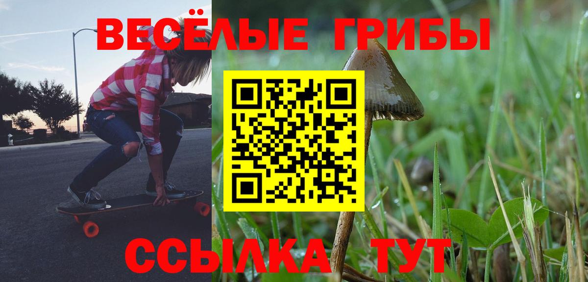 Псилоцибиновые грибы прущие грибы Новоуральск